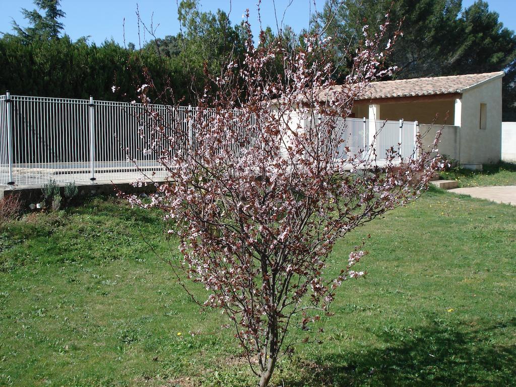 B&B L'Oustalet De Sylvie Villeneuve-lès-Avignon Екстериор снимка